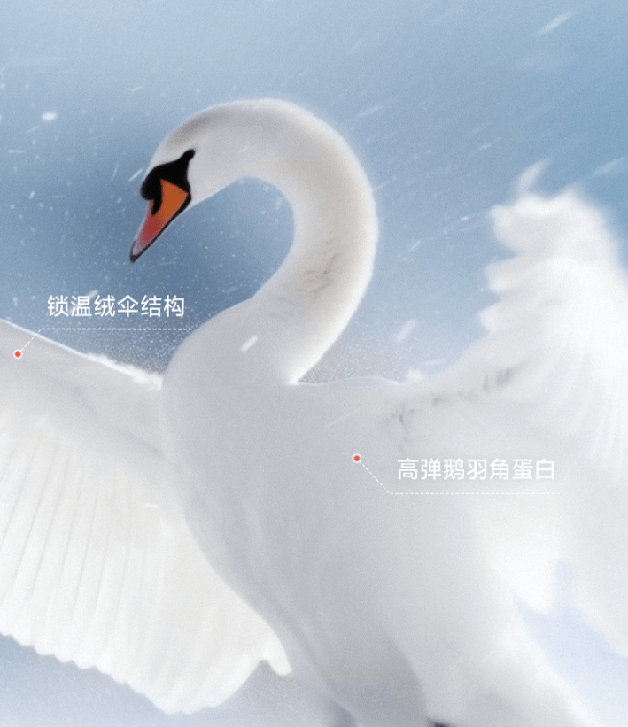 Goose down